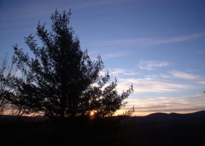 maine-sunset-trees