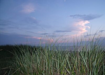 sunset-beachgrass