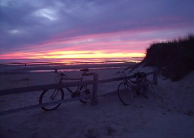 sunset-bikes